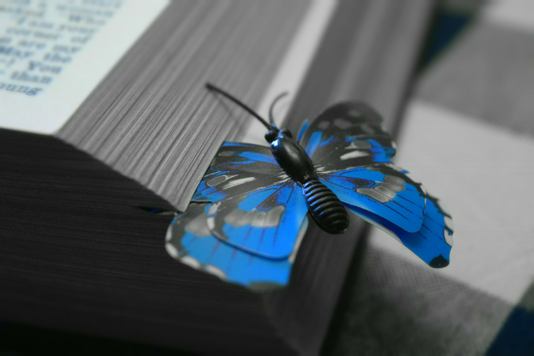 Blue Butterfly bookmark