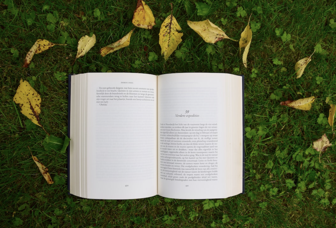 Opened book leaves and grass